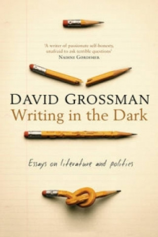 Knjiga Writing in the Dark David Grossman