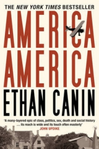 Kniha America America Ethan Canin