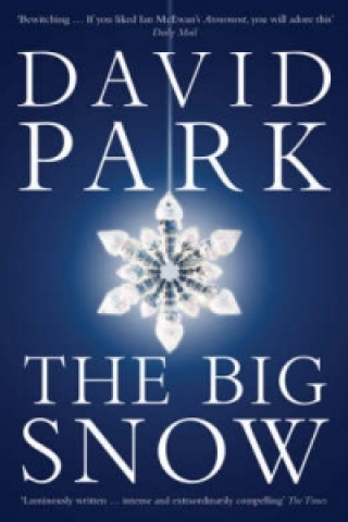 Book Big Snow David Park