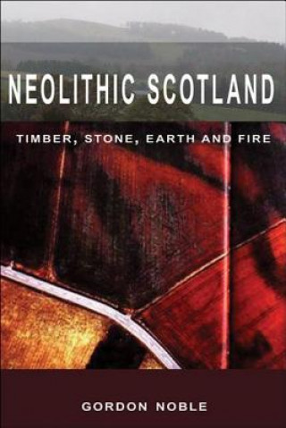 Buch Neolithic Scotland Gordon Noble