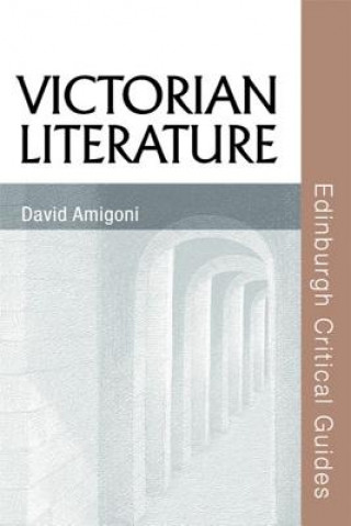 Kniha Victorian Literature David Amigoni