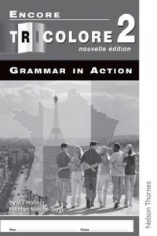 Kniha Encore Tricolore Nouvelle 2 Grammar in Action Pack (x8) Heather Mascie-Taylor