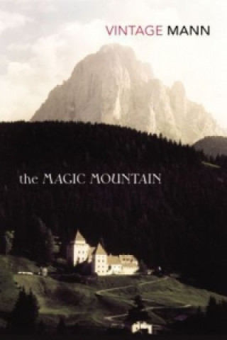 Kniha Magic Mountain Thomas Mann