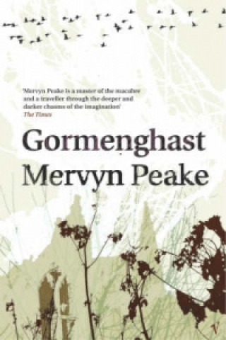 Kniha Gormenghast Mervyn Peake