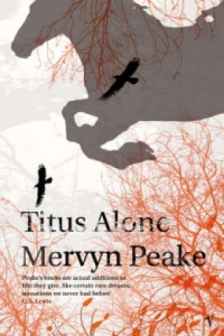 Kniha Titus Alone Mervyn Peake