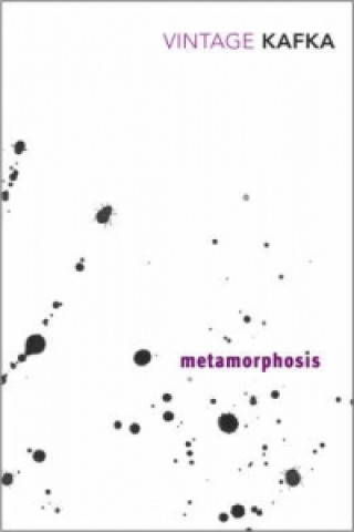 Książka Metamorphosis and Other Stories Franz Kafka
