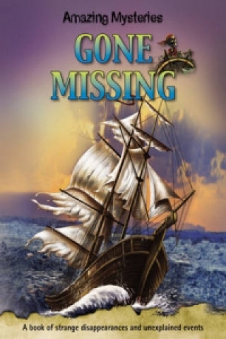Knjiga Gone Missing John Townsend