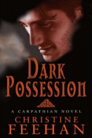 Kniha Dark Possession Christine Feehan