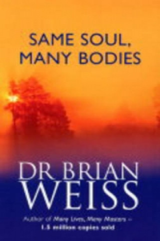 Carte Same Soul, Many Bodies Brian Leslie Weiss