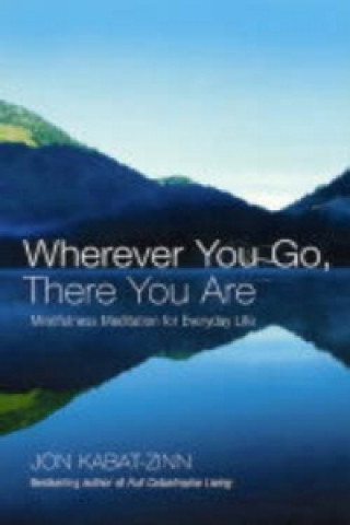 Book Wherever You Go, There You Are Jon Kabat-Zinn