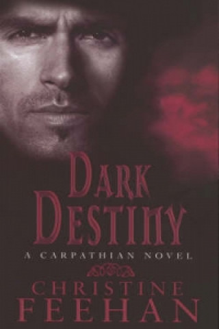 Könyv Dark Destiny Christine Feehan