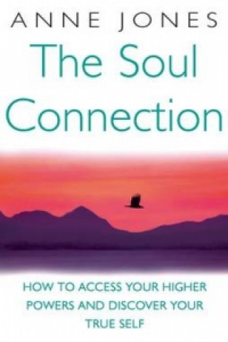 Boek Soul Connection Anne Jones