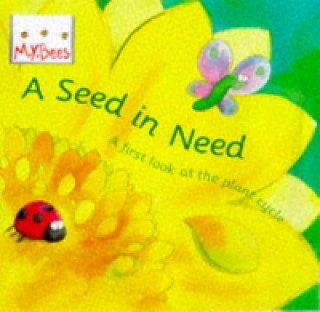 Kniha Little Bees: Mybees: A Seed In Need Sam Godwin