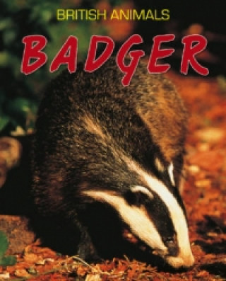 Książka British Animals: Badger Michael Leach