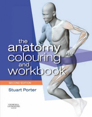 Kniha Anatomy Colouring and Workbook Stuart Porter