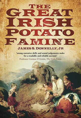 Könyv Great Irish Potato Famine James S Donnelly