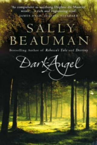 Книга Dark Angel Sally Beauman