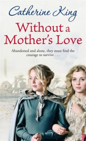 Kniha Without A Mother's Love Catherine King