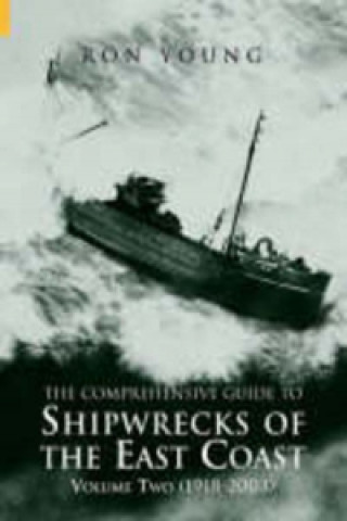 Könyv Comprehensive Guide to Shipwrecks of the East Coast Volume Two Ron Young