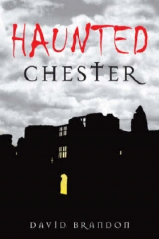 Libro Haunted Chester David Brandon