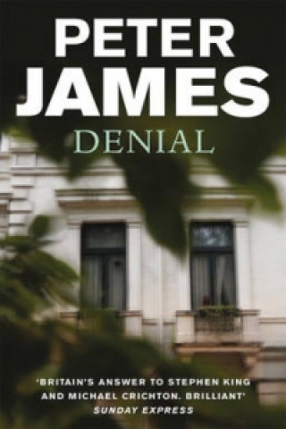 Kniha Denial Peter James