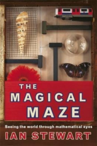 Kniha Science Masters: The Magical Maze Ian Stewart