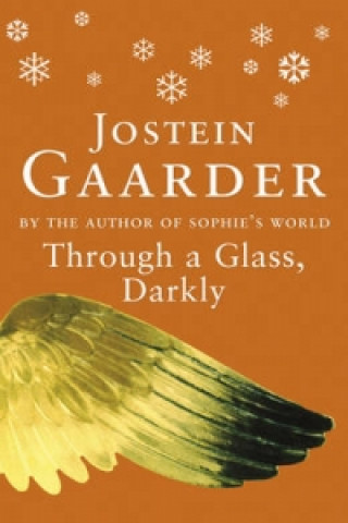 Kniha Through A Glass, Darkly Jostein Gaarder