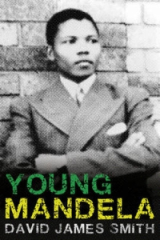 Book Young Mandela David Smith