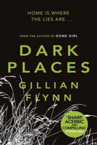 Könyv Dark Places Gillian Flynn