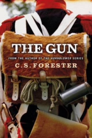 Kniha Gun Cecil Scott Forester