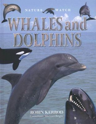 Könyv Whales and Dolphins Robin Kerrod