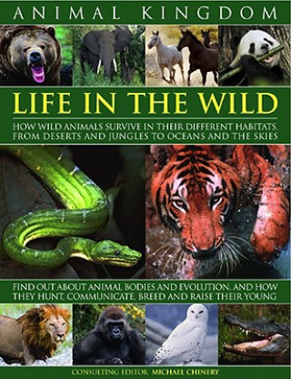 Knjiga Animal Kingdom Michael Chinery