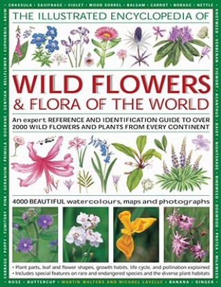 Carte Illustrated Encyclopedia of Wild Flowers & Flora of the World Martin Walters
