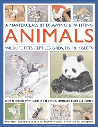 Kniha Masterclass in Drawing & Painting Animals Jean Paul van Boxtel