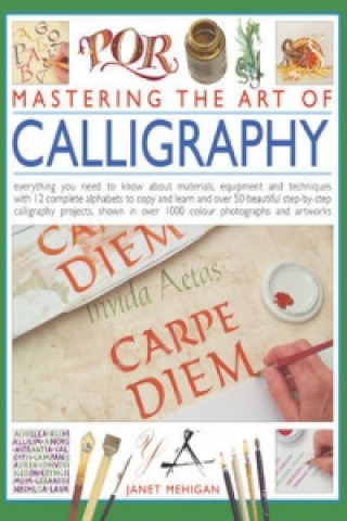 Kniha Mastering the Art of Calligraphy Janet Mehigan