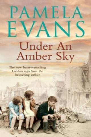 Kniha Under an Amber Sky Pamela Evans