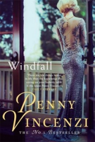 Könyv Windfall Penny Vincenzi