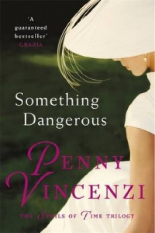 Könyv Something Dangerous Penny Vincenzi