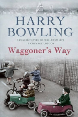Kniha Waggoner's Way Harry Bowling