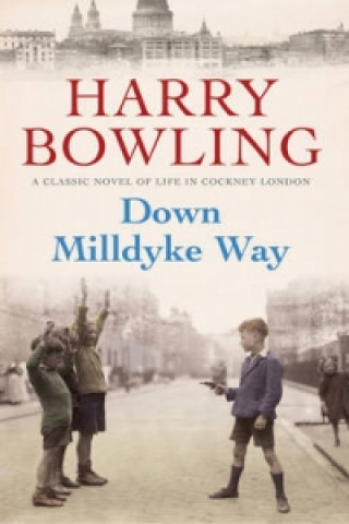 Kniha Down Milldyke Way Harry Bowling