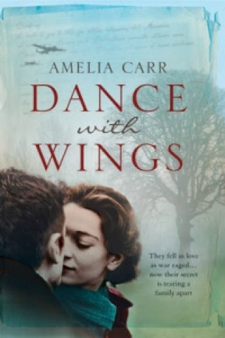 Livre Dance With Wings Amelia Carr