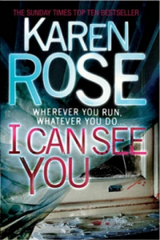 Kniha I Can See You (The Minneapolis Series Book 1) Karen Rose