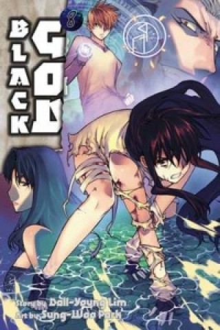 Buch Black God, Vol. 8 Dall-Young Lim