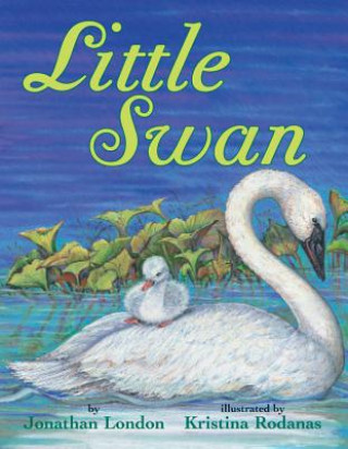 Książka Little Swan Jonathan London