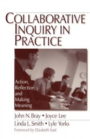 Kniha Collaborative Inquiry in Practice John N. Bray