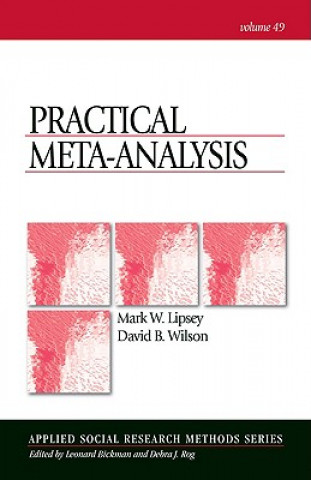Książka Practical Meta-Analysis Mark W Lipsey