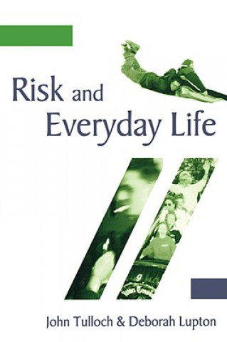 Книга Risk and Everyday Life Deborah Lupton