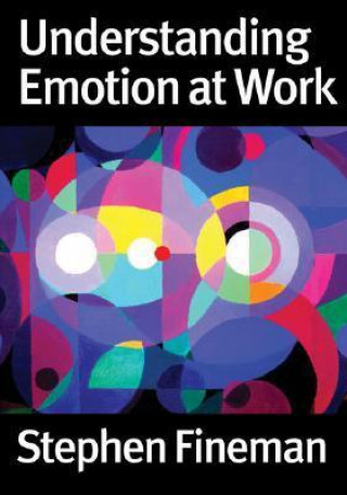 Carte Understanding Emotion at Work Stephen Fineman