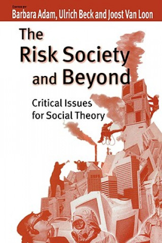 Könyv Risk Society and Beyond Ulrich Beck