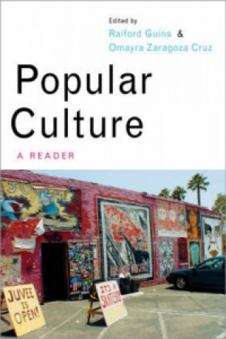 Könyv Popular Culture Raiford Guins